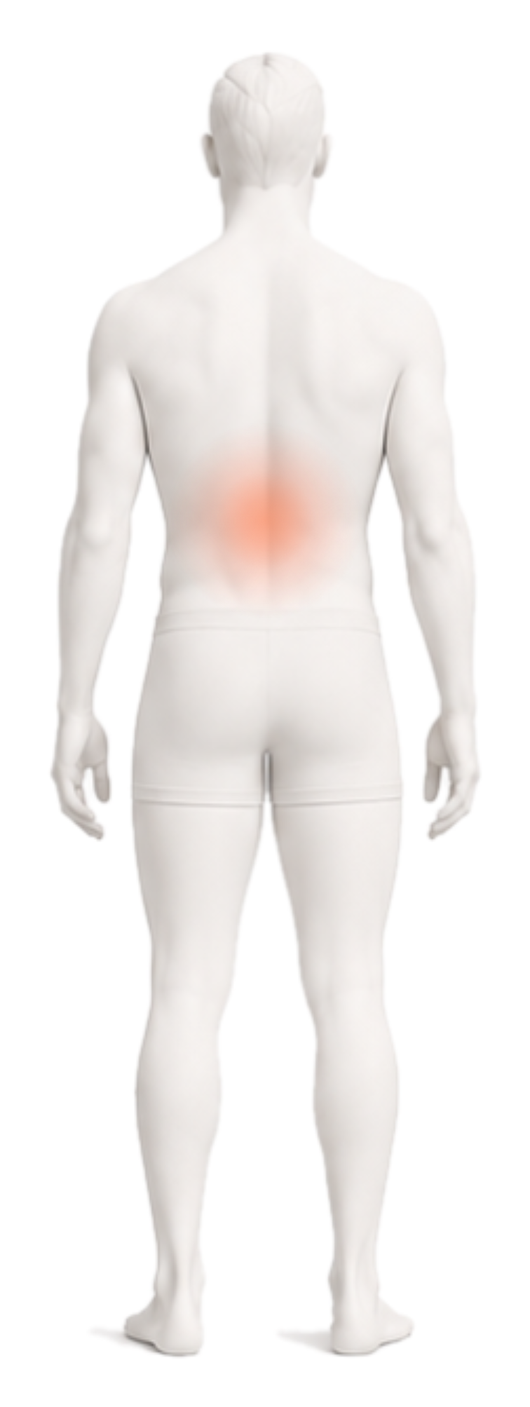 Body illustration with the lower back and neck highlighted.