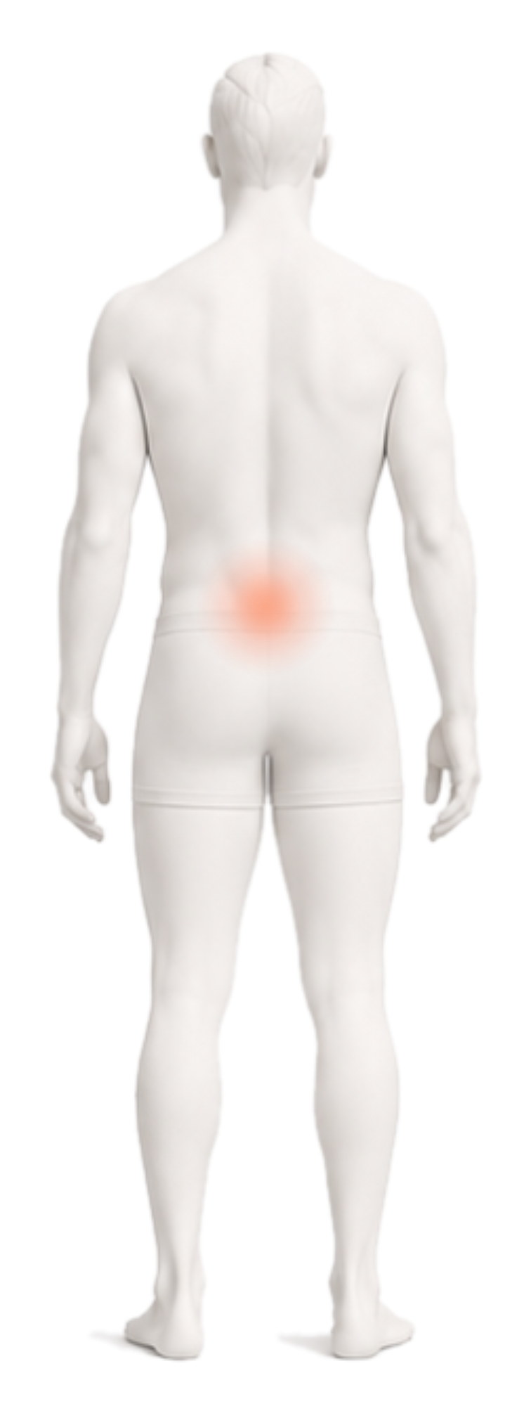 Body illustration with the lower back and leg highlighted.