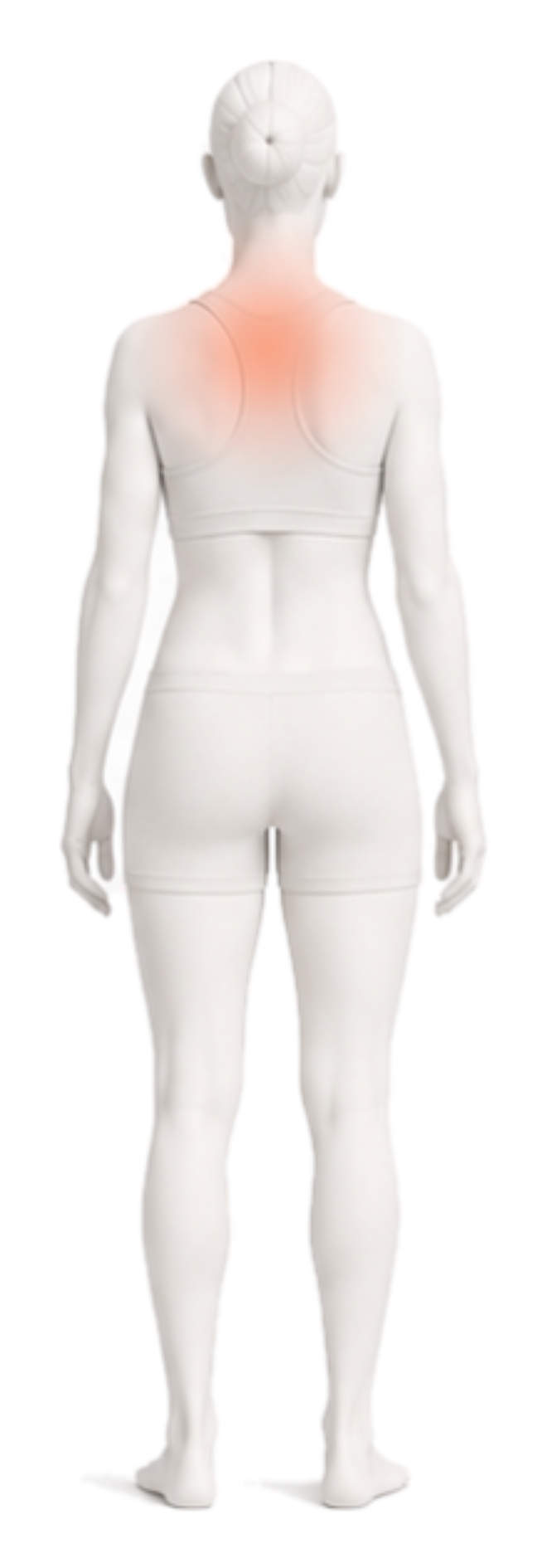 Body illustration with the shoulders and upper back highlighted.