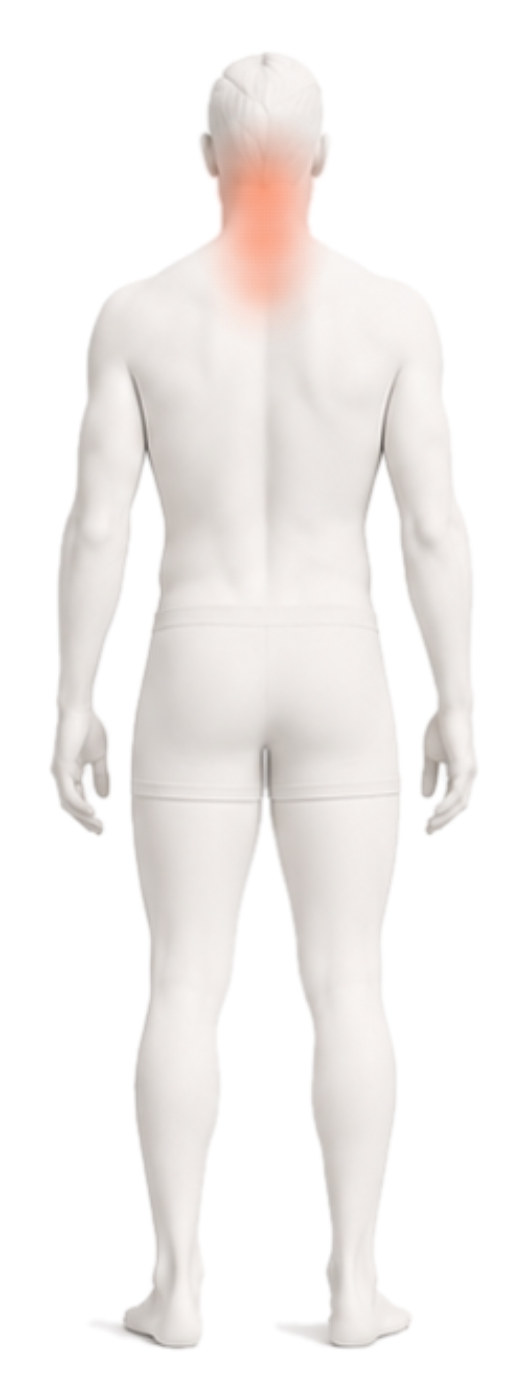 Body illustration with the neck, upper back, and shoulders highlighted.